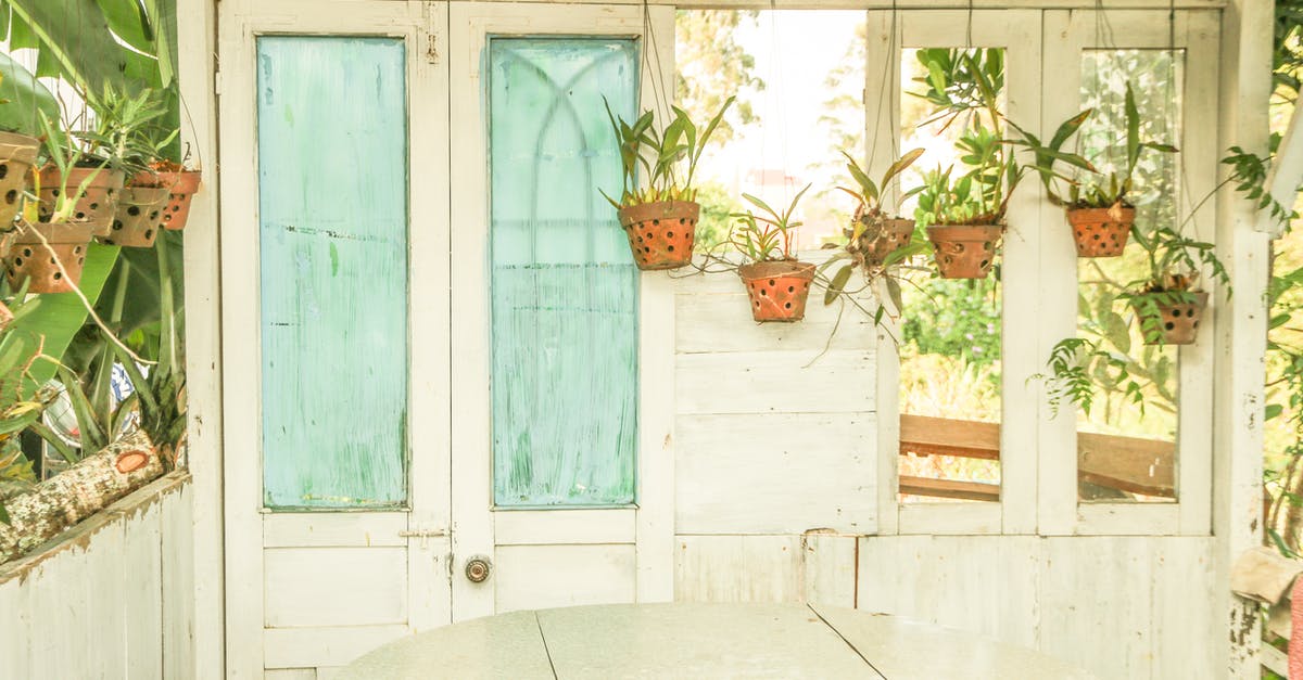 Travelling from Auckland to Ho Chi Minh City with Jetstar - Green-leafed Plants Potted on Pots