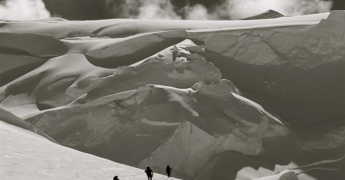 Travelling from mainland USA to Alaska - Person Holding Stick in Grayscale Photography