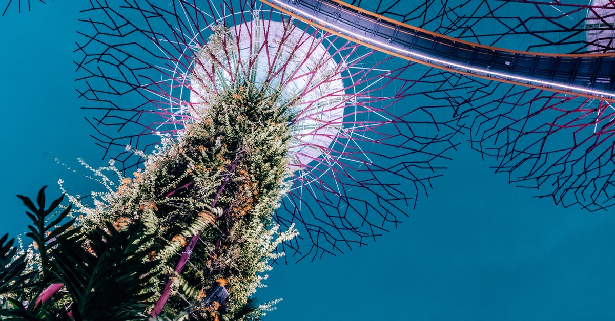 Travelling from Singapore to Canada [closed] - From below amazing view of famous tall tree like structure with exotic plants and ferns illuminated by bright lights against dark evening sky in Singapore Gardens