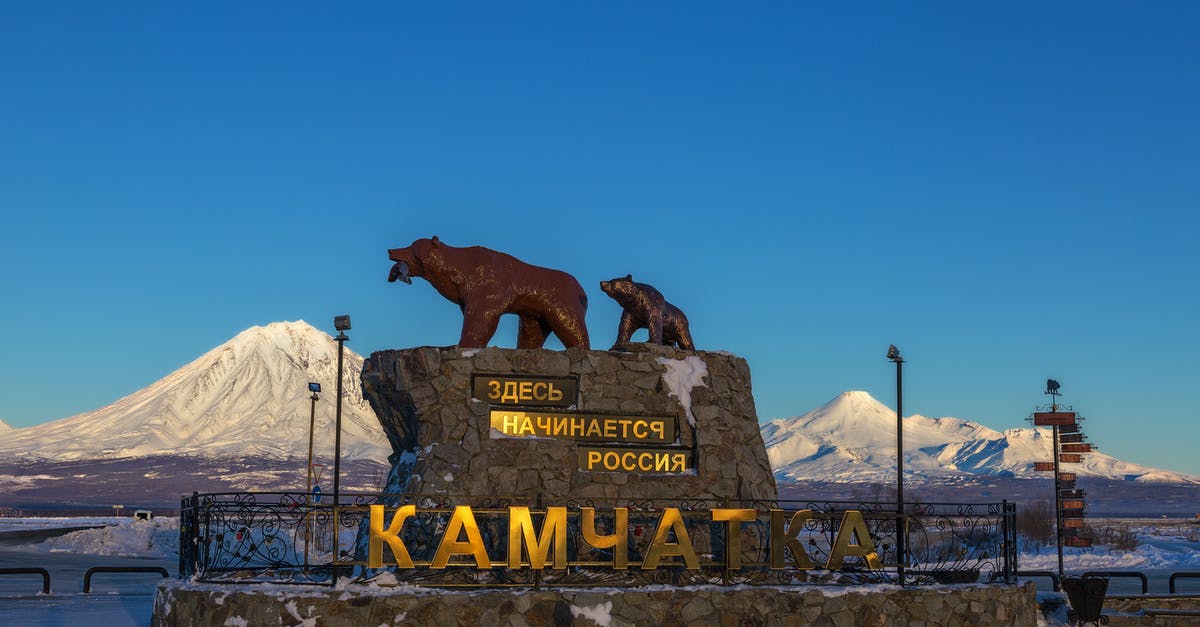 Travelling from UK to Russia - Brown Horse on White Snow Covered Ground