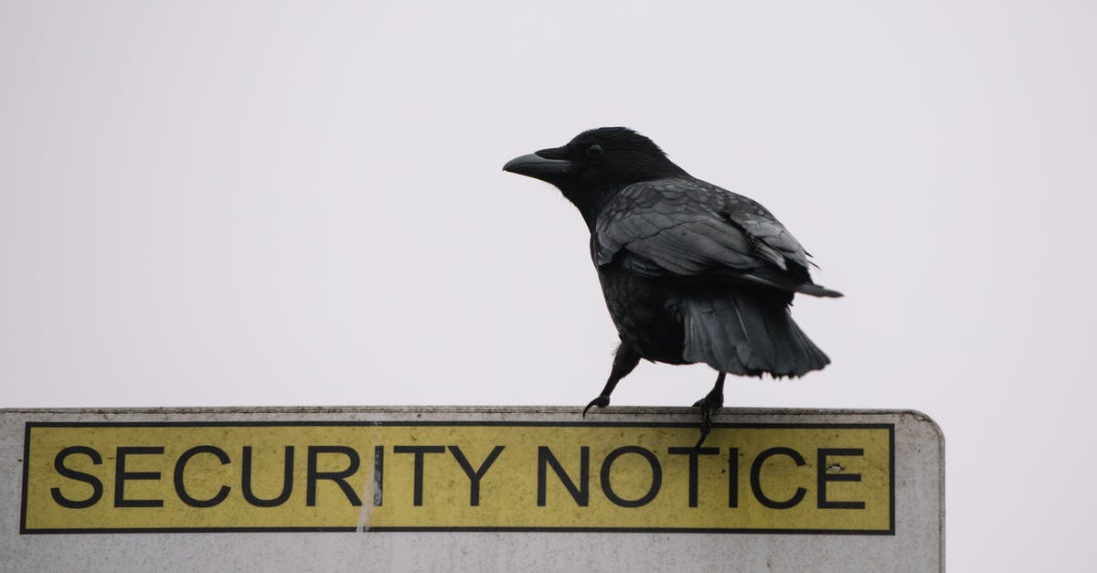 Travelling from Venice to Budapest, making a stop in Croatia - Low angle of wild black crow sitting on road security notice sign on gray background