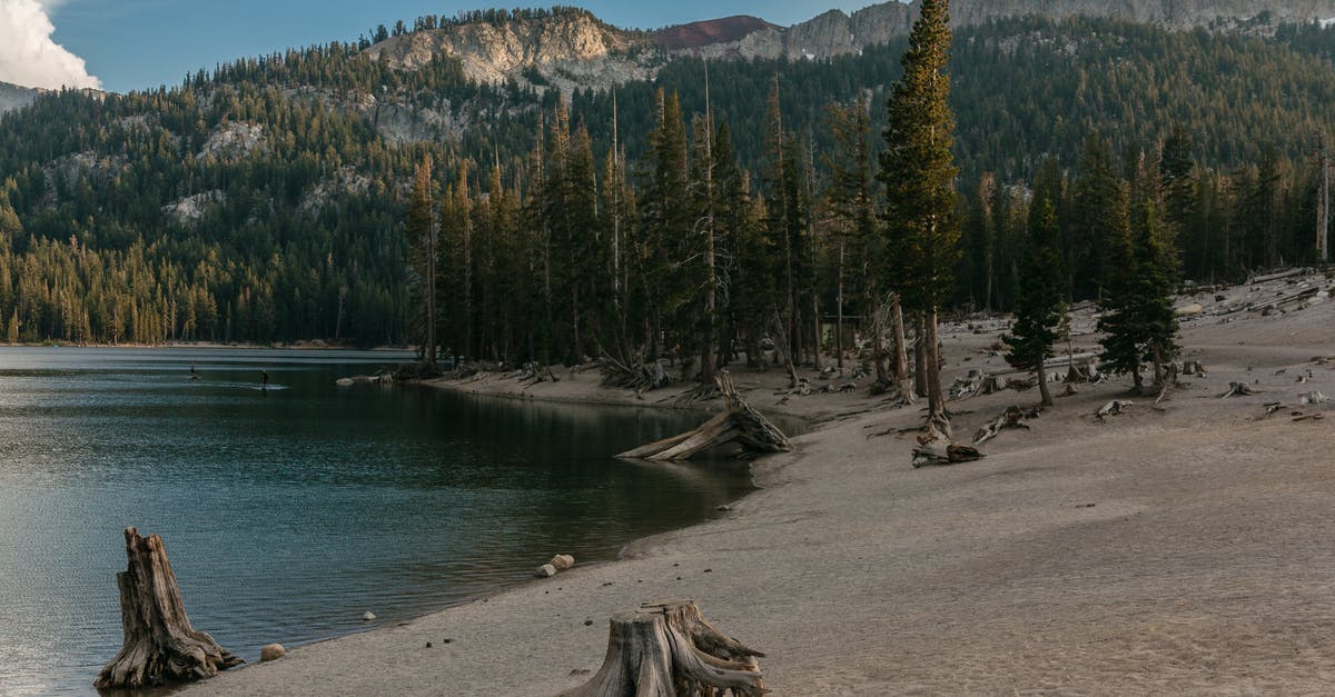 Travelling overland to Mammoth Lakes, California on a weekend - Lake Surrounded by Pine Trees