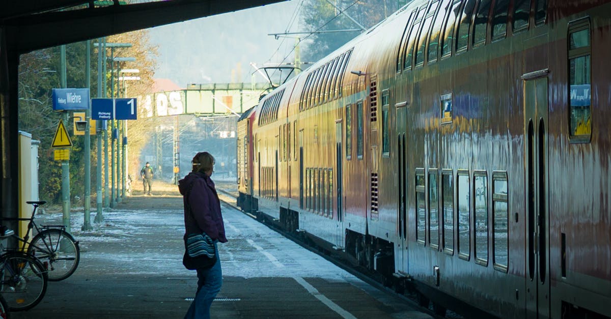 Travelling thorough schengen area while waiting for permesso - Person Near Train Coaches