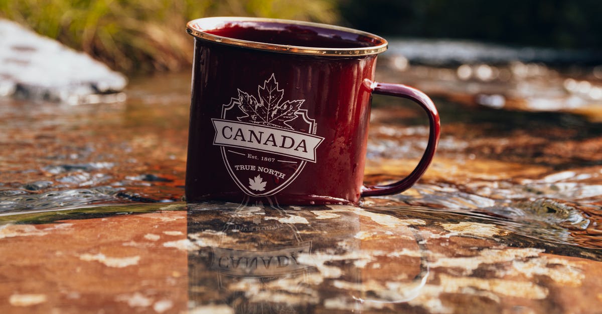 Travelling to Canada after 90 days in USA - Red Ceramic Mug