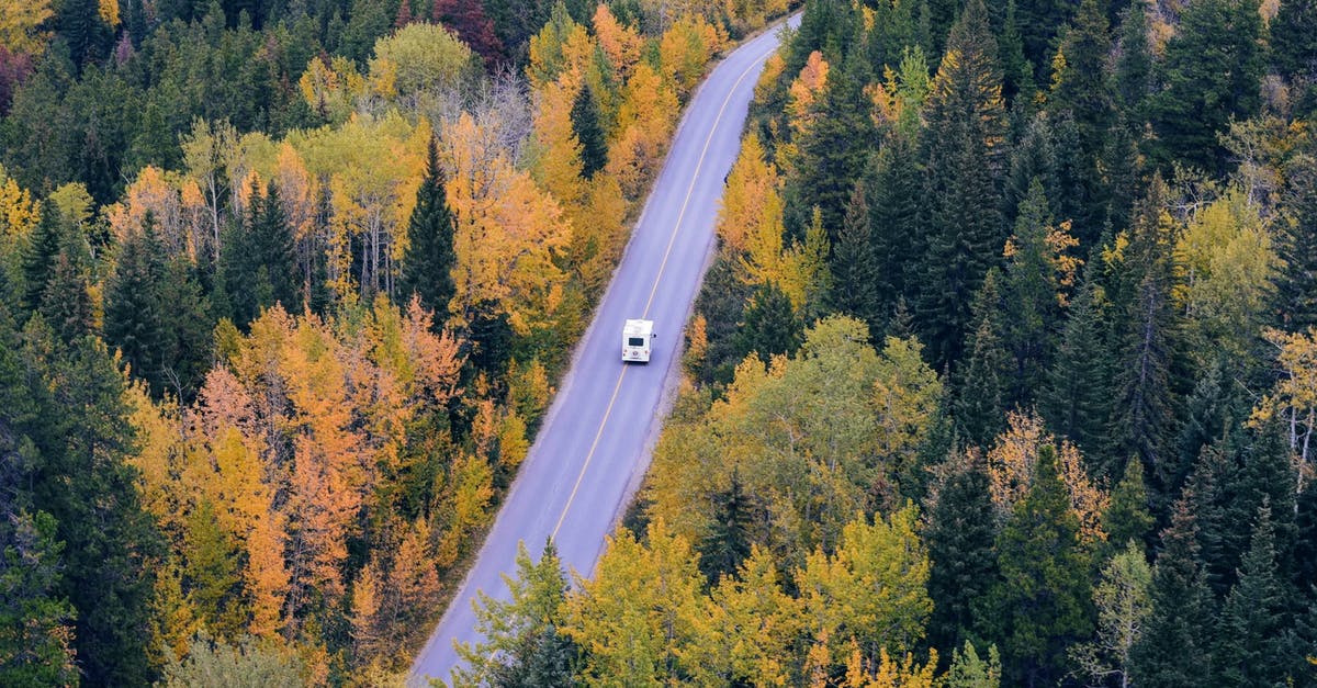 Travelling to Kuwait by Road - White Car Traveling Near Trees during Daytime