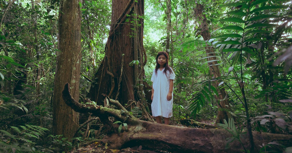 Travelling to Latin America to take hallucinogenic drugs: how does one do it safely? - Photo Of Young Girl Standing Behind Tree Trunk