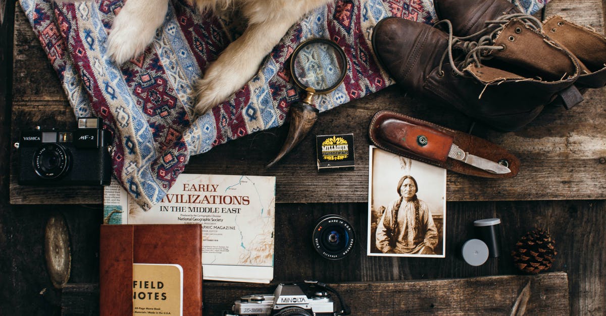 Travelling with a Pet from and to the UK - Dog lying near supply for photographing