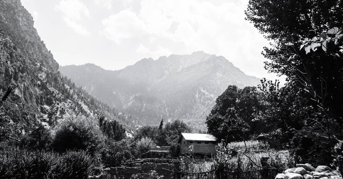 Trees in the Rhine Valley in early November - Greyscale Photography of Trees Beside Hut