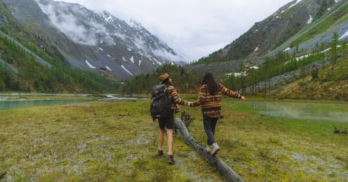 Trekking in Russia similar to Kungsleden - A Woman Standing on Brown Wooden Log on Green Grass Field