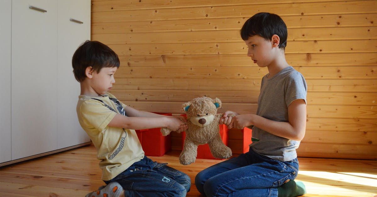 Trenitalia, wrong name on ticket, problem? - Side view full body fighting brothers in casual wear sitting on floor and pulling teddy bear to sides at home