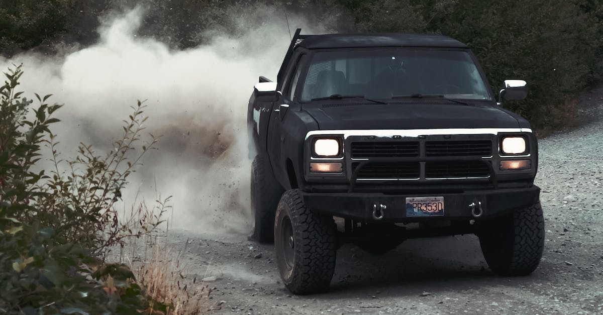 Truck rental, Mexico pick-up, U.S. drop-off - Black Pickup Truck on Dirt Road