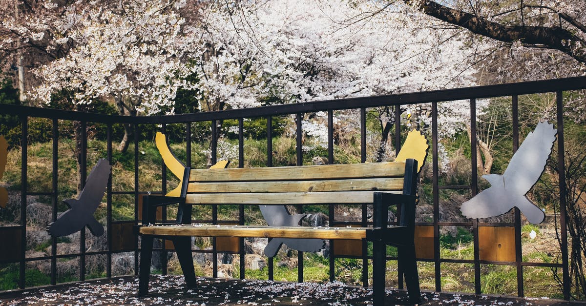 trying to stay abroad under the limit - Bench Under Cherry Blossom Tree