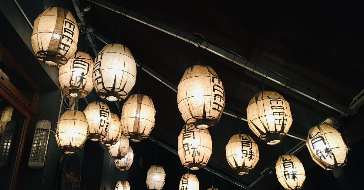 TSA PreCheck for non-immigrants - White Paper Lanterns on Black Metal Frame