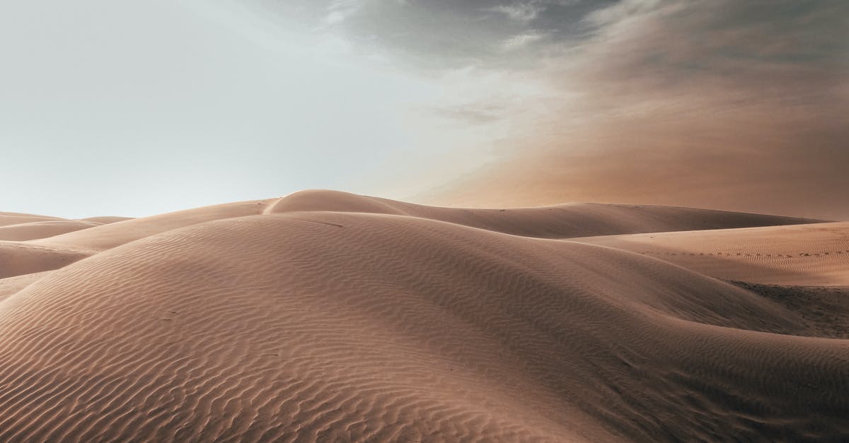 TSA PreCheck for non-immigrants - Brown Sand