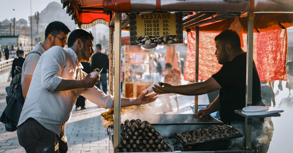 Turkey transit visa for a stateless person? [duplicate] - Buying Chestnut in Turkey