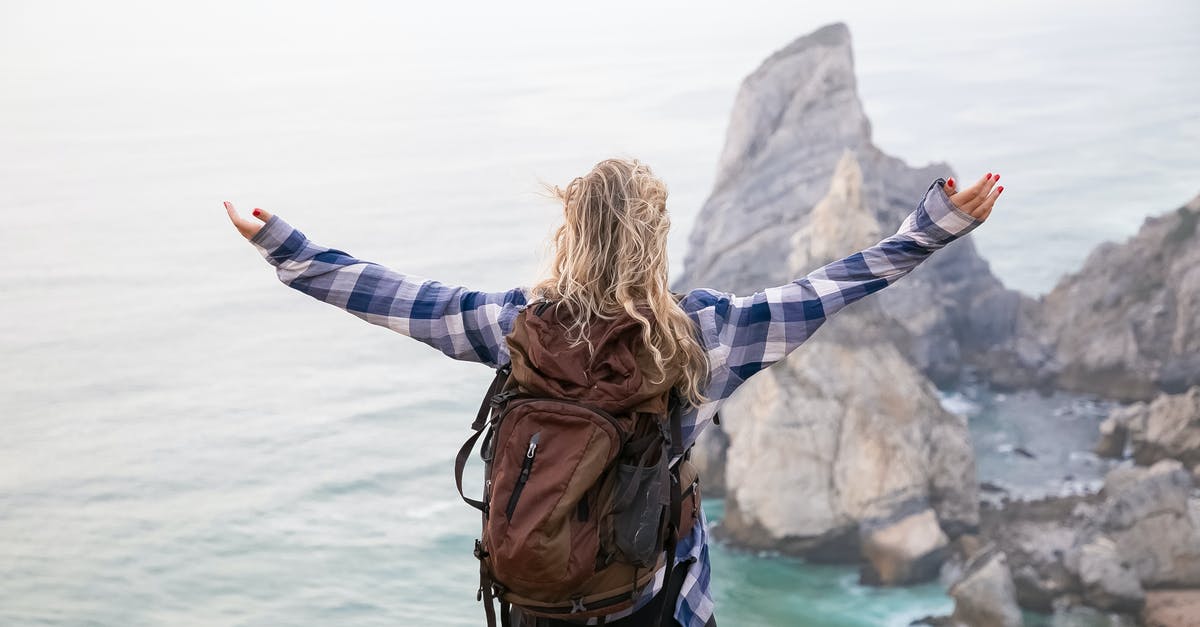 Two long layovers in Tokyo [closed] - Woman in Blue and Black Plaid Long Sleeve Shirt Standing on Rock Formation Near Body of Near Near Near Near