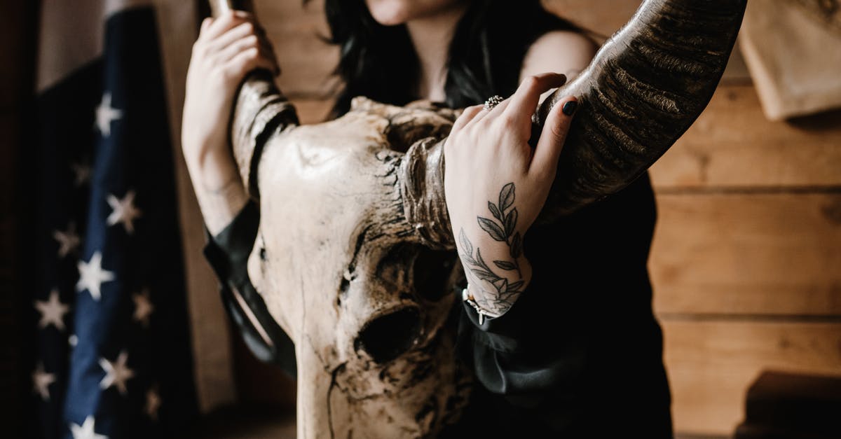 Two long visits to USA on VWP - Crop young brunette with tattooed arms and legs with long horned animal skull sitting near wooden wall with US flag