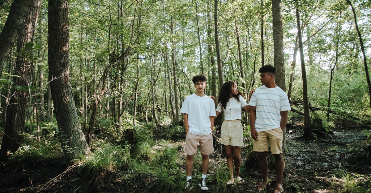 UK day two test switchover date? - Two Teenage Boys and Girl Standing in Group in Forest