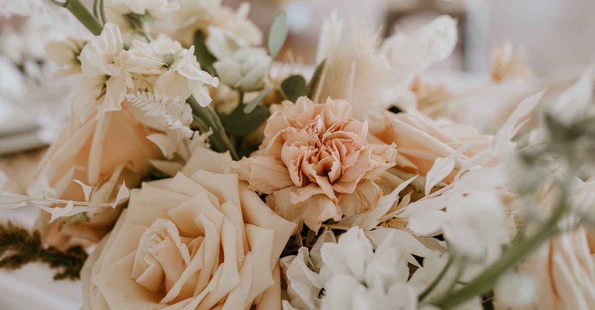 UK Marriage Visitor Visa (MVV) refusal and subsequent fresh application - Bunch of fresh delicate flowers with green branches placed on table at romantic occasion