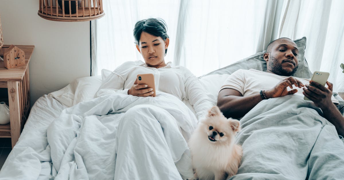 UK spouse, South African wife, Schengen visa - Focused young diverse spouses lying in bed in morning with cute Pomeranian Spitz and browsing smartphones