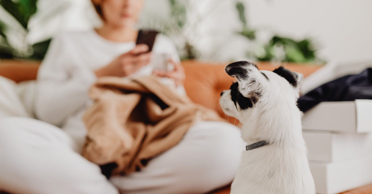 UK Visa Refused, Applied again waiting [duplicate] - Woman in White Crew Neck T-shirt Sitting Beside White and Black Short Coat Small Dog