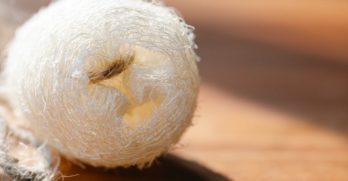 UK Visitor Visa Refuse at the border [closed] - Closeup of small organic eco sponge of loofah placed on wooden surface in bright sunlight