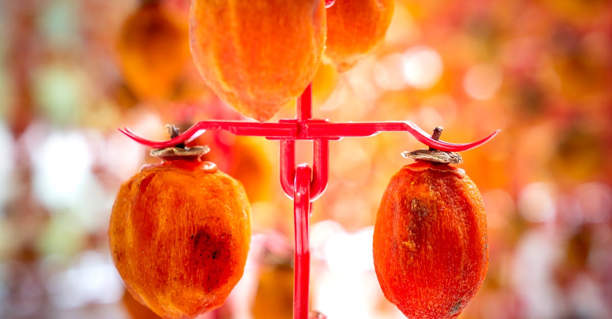 Unique/exotic Japanese food? - Appetizing sweet persimmons hanging from metal hooks and sun drying in traditional Japanese Hoshigaki method in farm