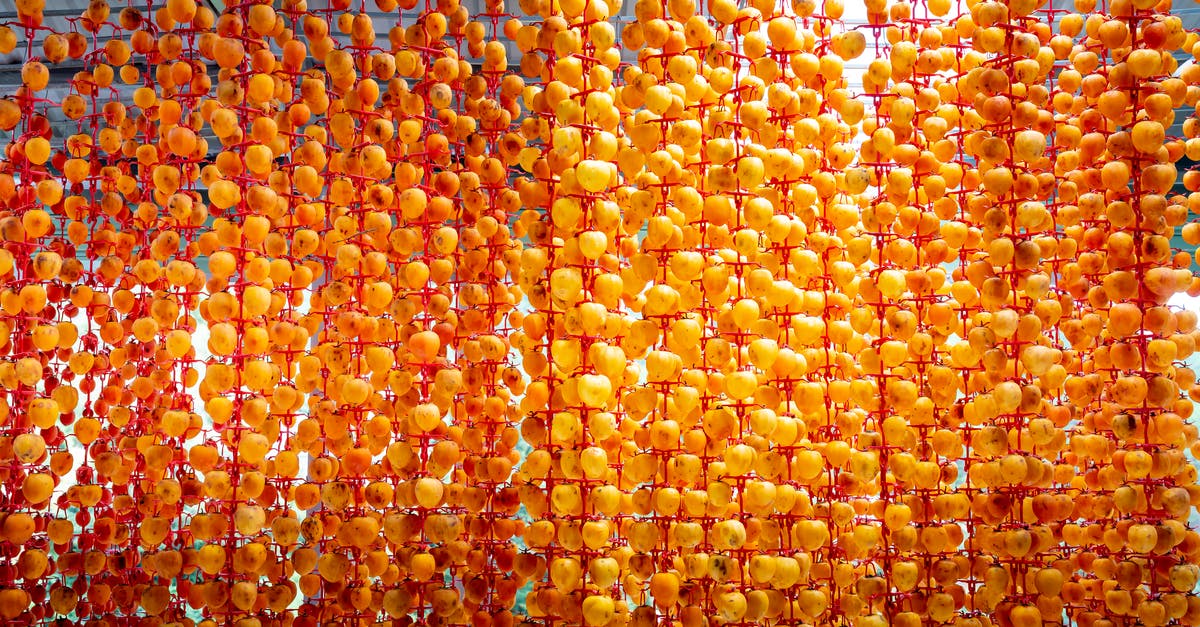 Unique/exotic Japanese food? - Whole persimmons strung on threads and sun drying in garden