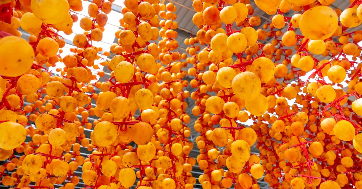 Unique/exotic Japanese food? - From below of many ripe traditional Japanese persimmons hanging on ropes in local market in sunlight