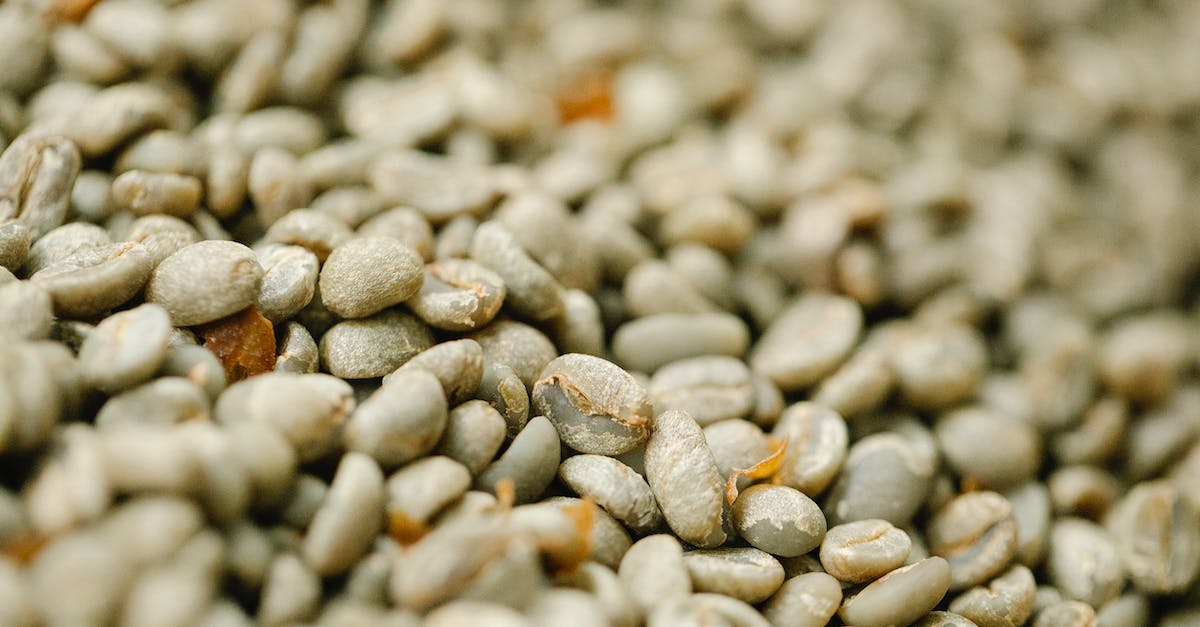 Unroasted coffee beans in La Paz, Bolivia - Heap of raw coffee beans drying in daylight