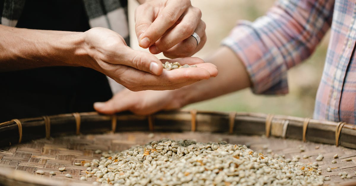 Unroasted coffee beans in La Paz, Bolivia - Crop unrecognizable horticulturists separating raw coffee beans from chaff over bamboo tray while working in countryside