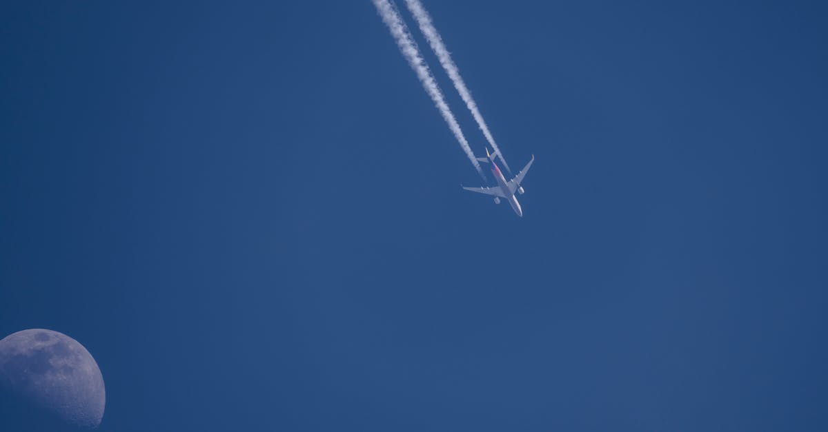 US domestic flight numbers when flying past midnight - White Airplane in the Sky