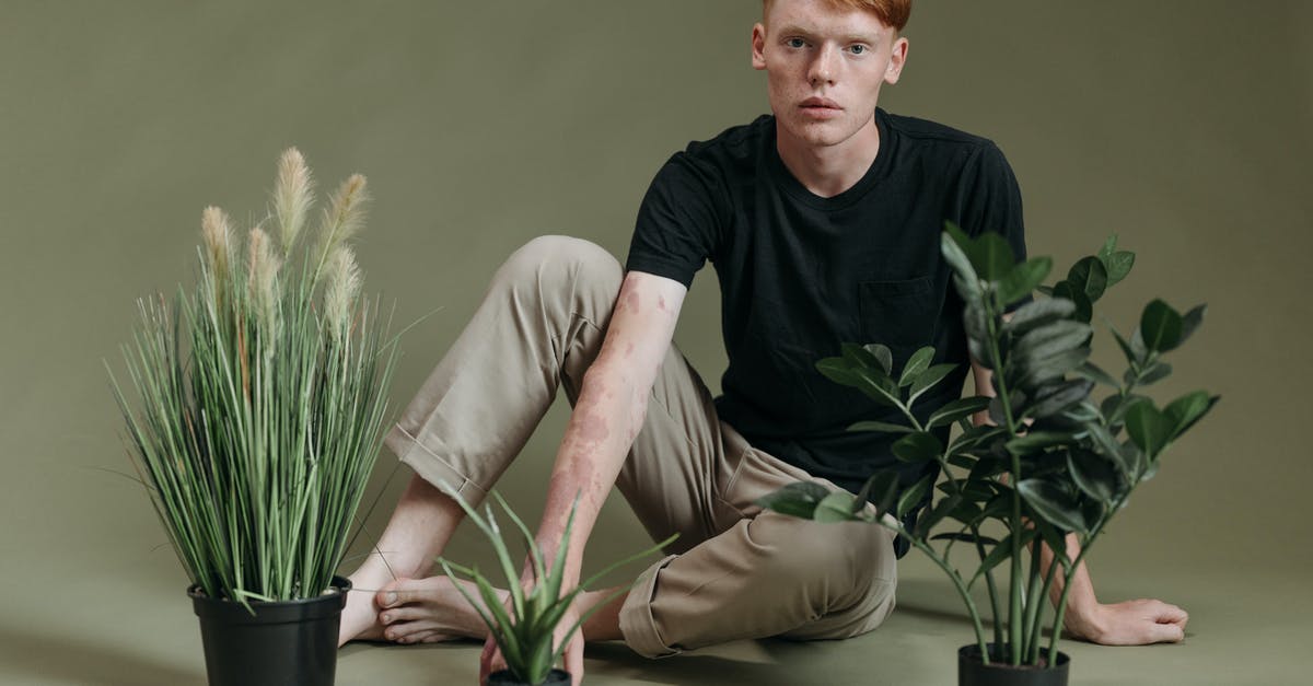 US visa photo: ears must show? - Free stock photo of barefoot, beige, ears