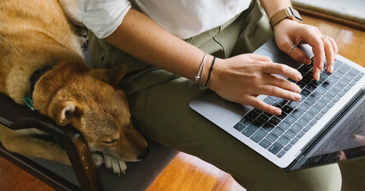 Using the Alaska Airlines Companion Fare on Air France - Crop unrecognizable woman working on laptop near adorable dog