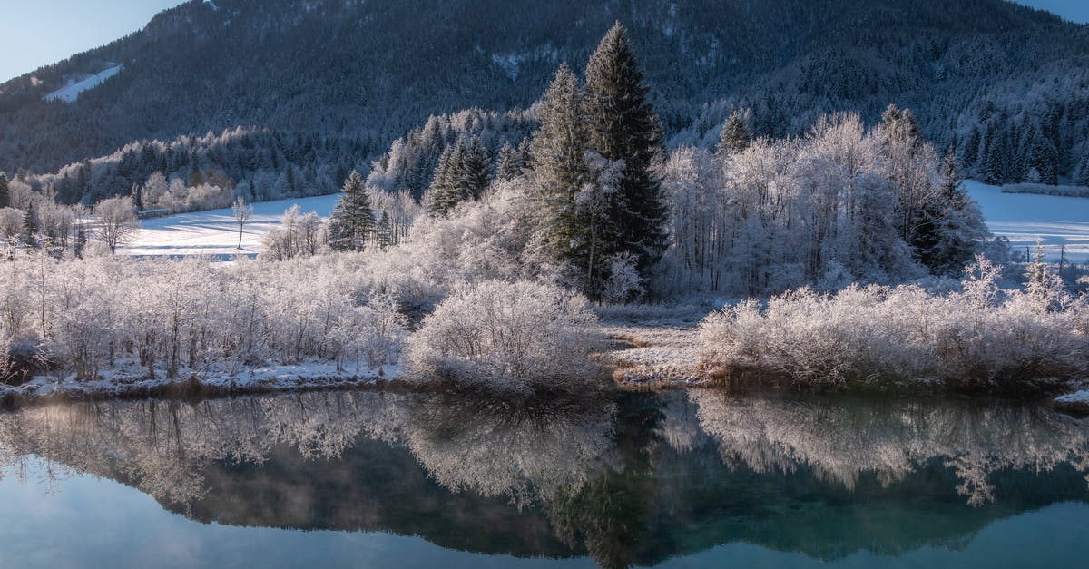 Usually snow in northern Slovenia in mid-March? - Snow Covered Trees Near Body of Water