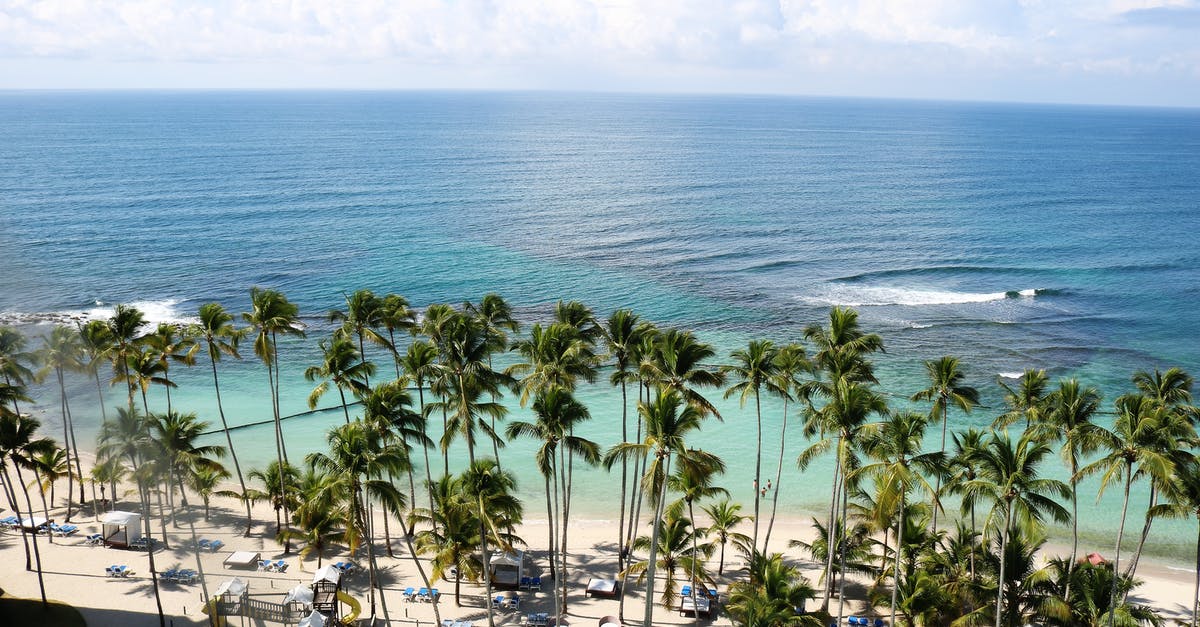 Vacation visa to Jamaica for Nigerian citizens [closed] - Green Palm Trees Near Body of Water