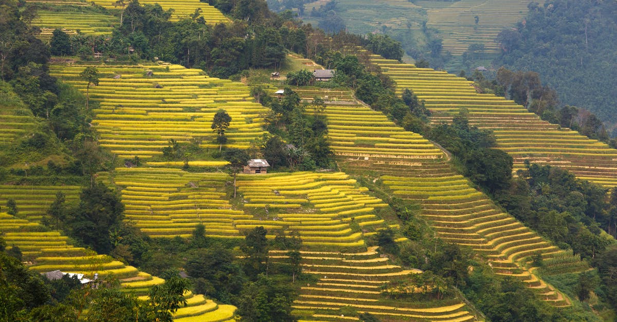 Validity of driver's license in a EU country - Rice Terraces