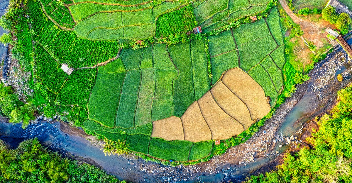 Validity of driver's license in a EU country - Aerial Photography of Green Field