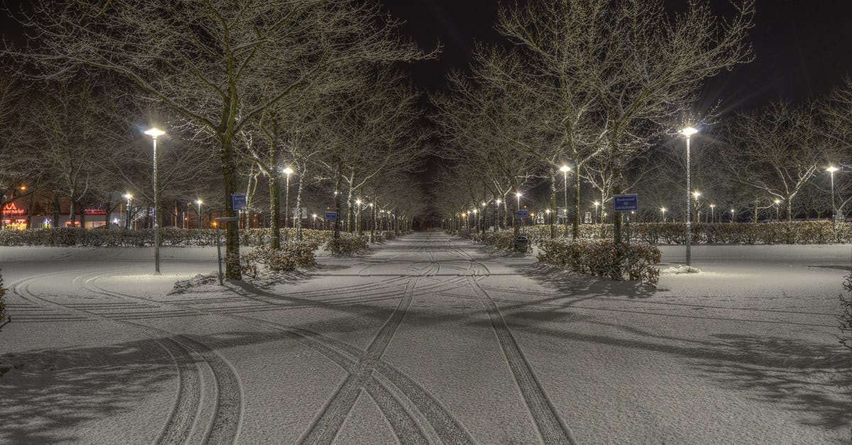 Vancouver – Where's this boulevard with street parallel parking and enveloped with trees? - Cleared Road Near Trees and Light Post during Nighttime Vancouver – Where's this boulevard with street parallel parking and enveloped with trees? - Cleared Road Near Trees and Light Post during Nighttime