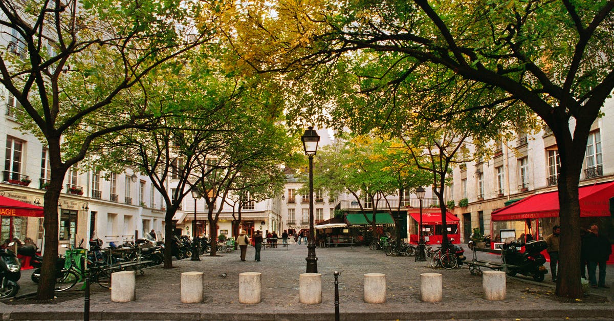 Vegan restaurants in Paris (5th arrondissement) - Photo of a Plaza with Restaurants During Fall