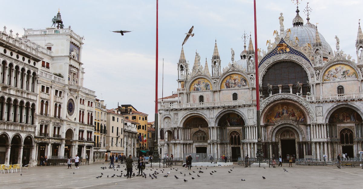 Venice Marco Polo Airport to Venice - People and Birds at the Piazza San Marco