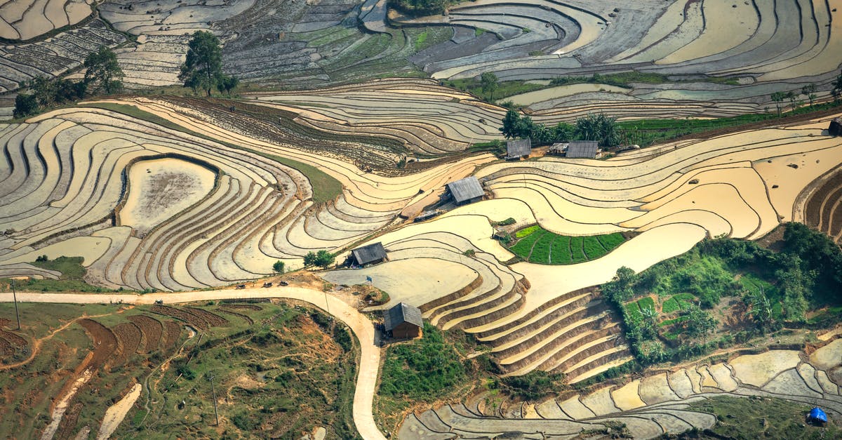 Vietnam visa exemption by land - View on Rice Fields During Sunny Day