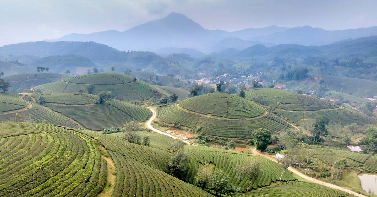 Vietnam visa exemption by land - Green Grass Field Under White Sky