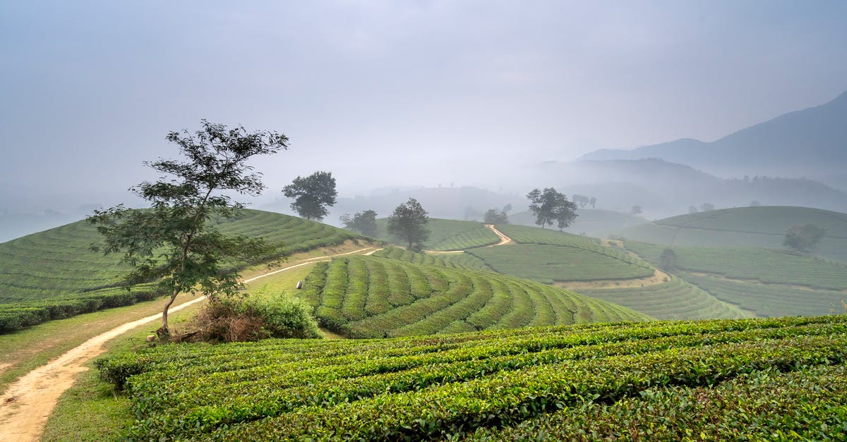 Vietnam visa exemption by land - Green Trees on Grass Field