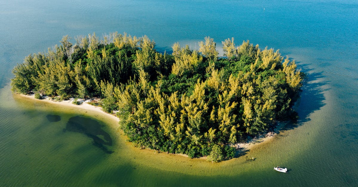 Viewing a Soyuz launch on the cheap? - Aerial view of picturesque island with growing bright trees near picturesque ocean and motor boat in daylight in summertime