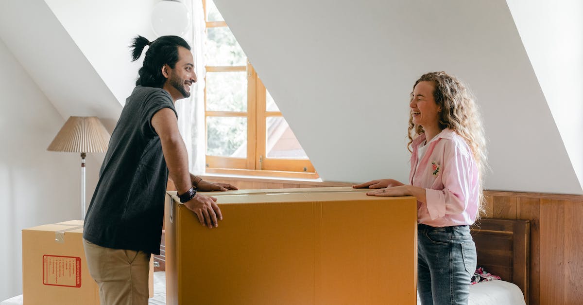 Viewing a Soyuz launch on the cheap? - Smiling diverse couple moving in new house