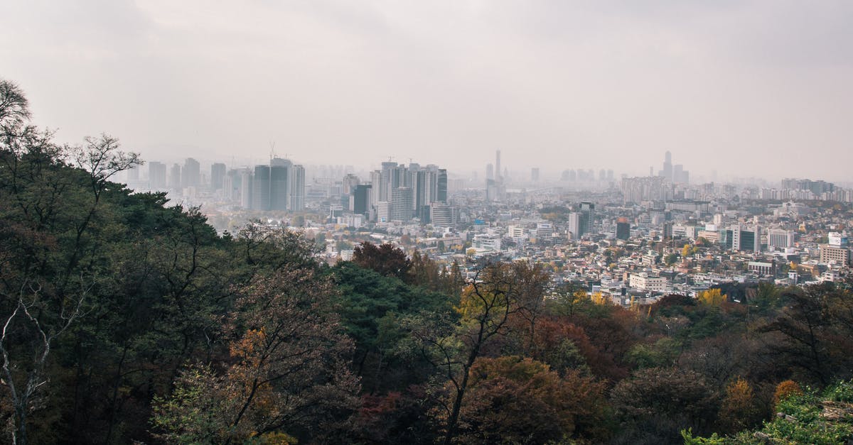 Visa and entry to South Korea as a volunteer? - Panorama City and Trees