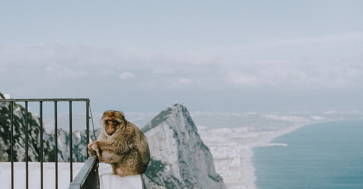 Visa for Gibraltar - Monkey on the Ledge