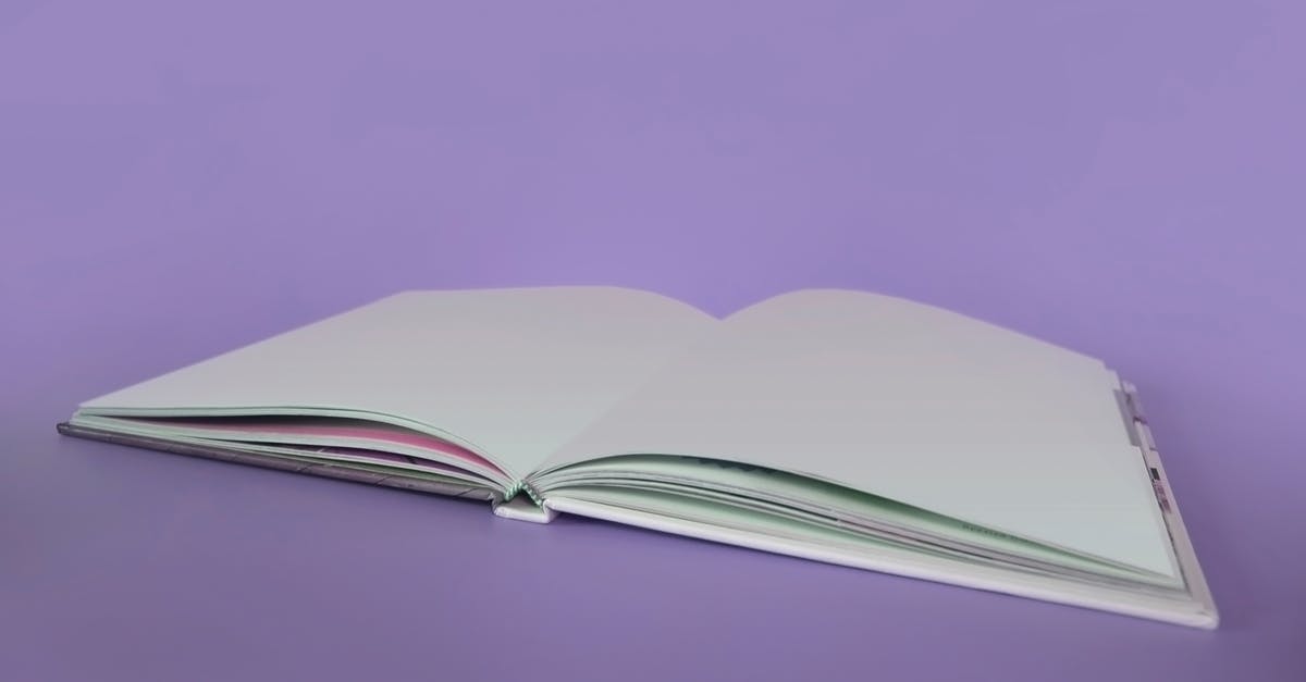 Visa Requirement - At least 2 spread blank visa pages - Opened Book on Purple Surface