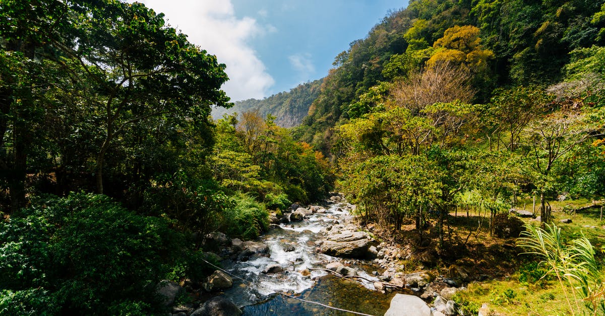 Visa requirements for transit through Panama - River Between Trees